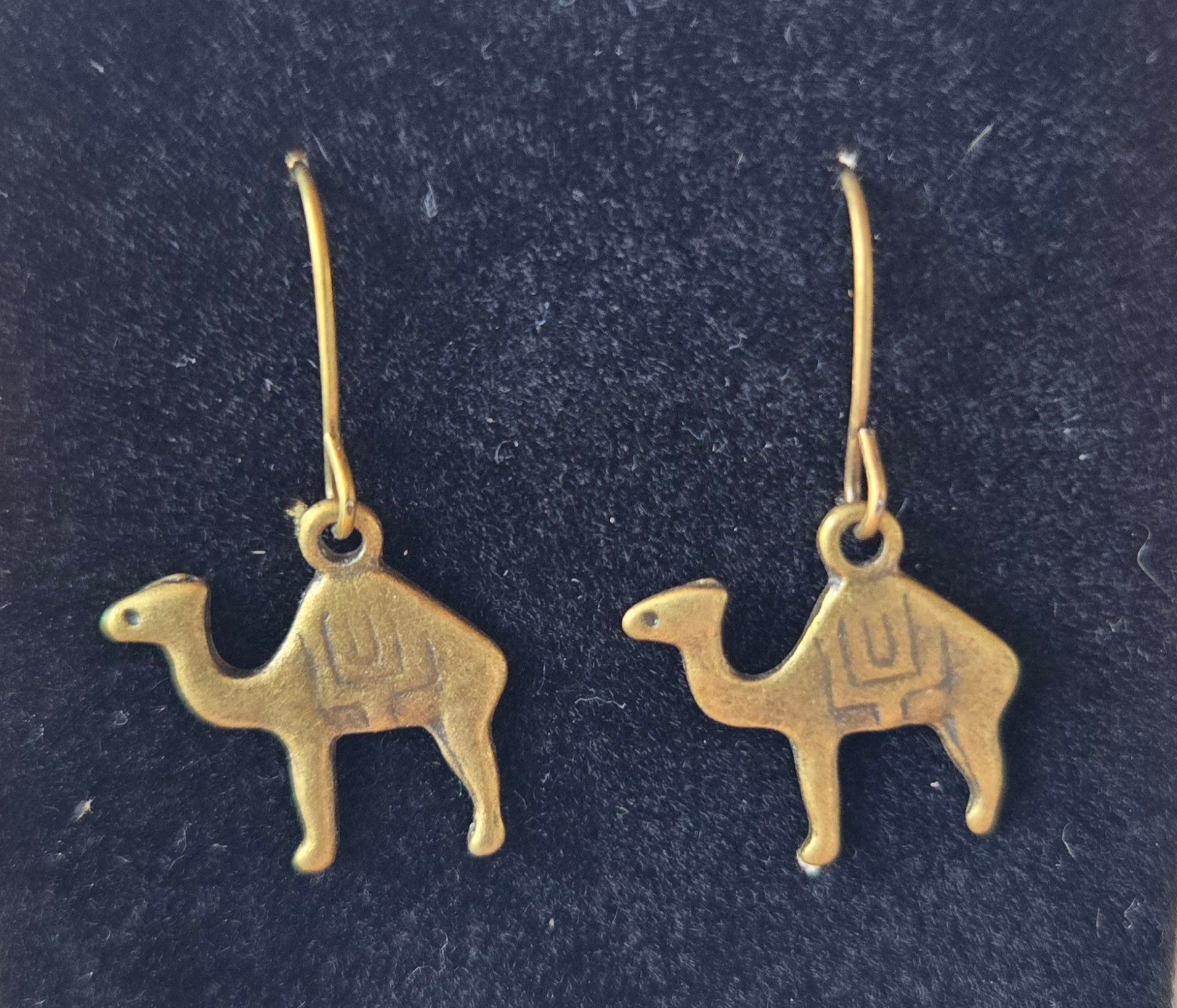 Camels
