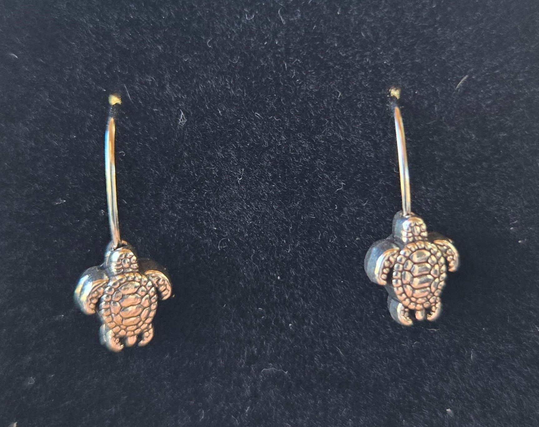 Sea Turtles