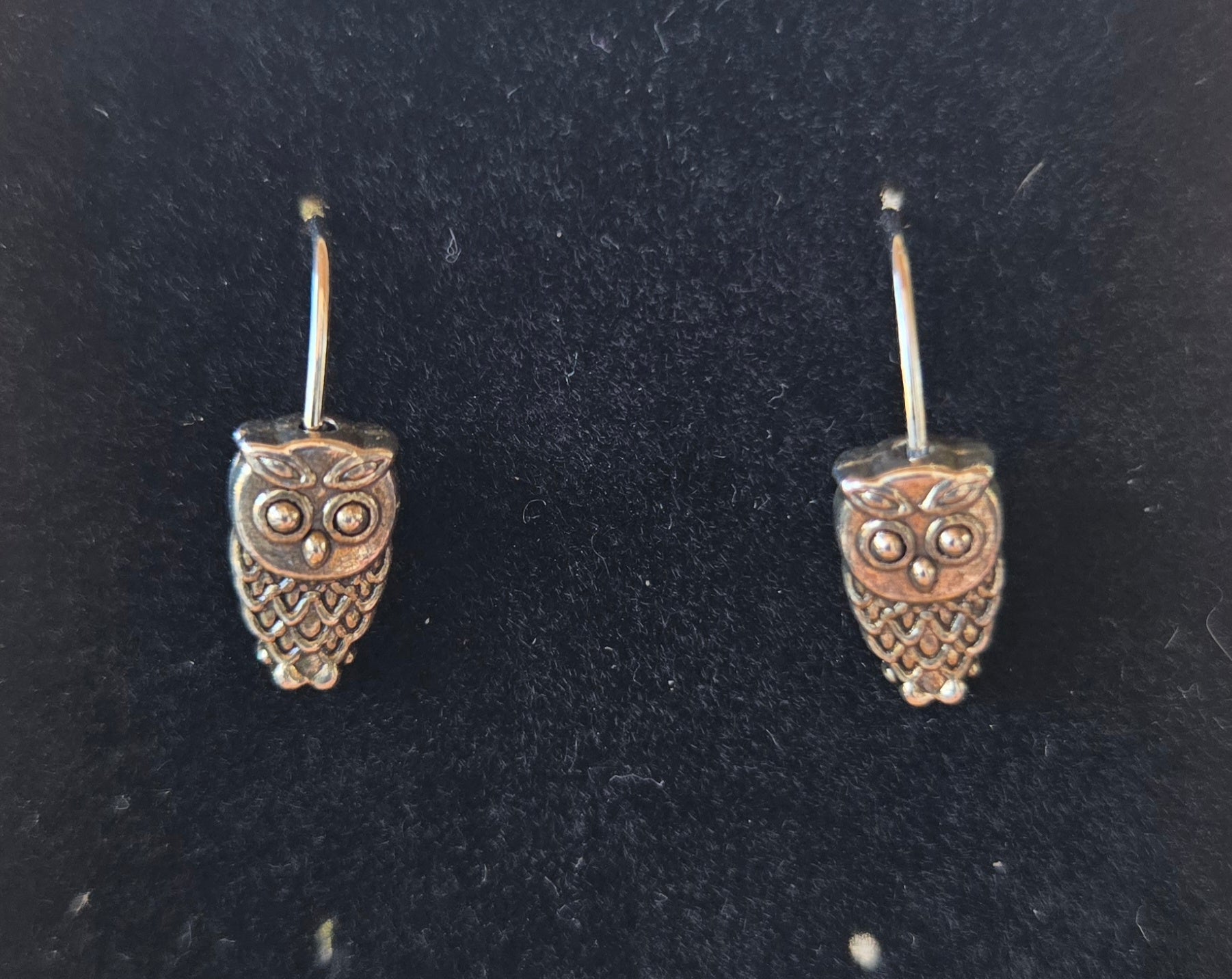 Owls Hoot && Hoot