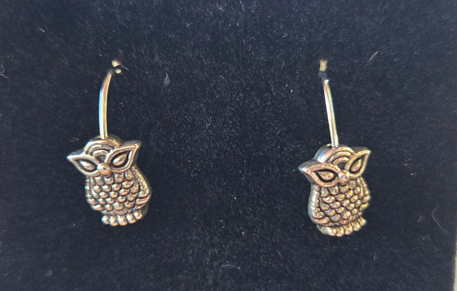 Owls w/ sunglasses